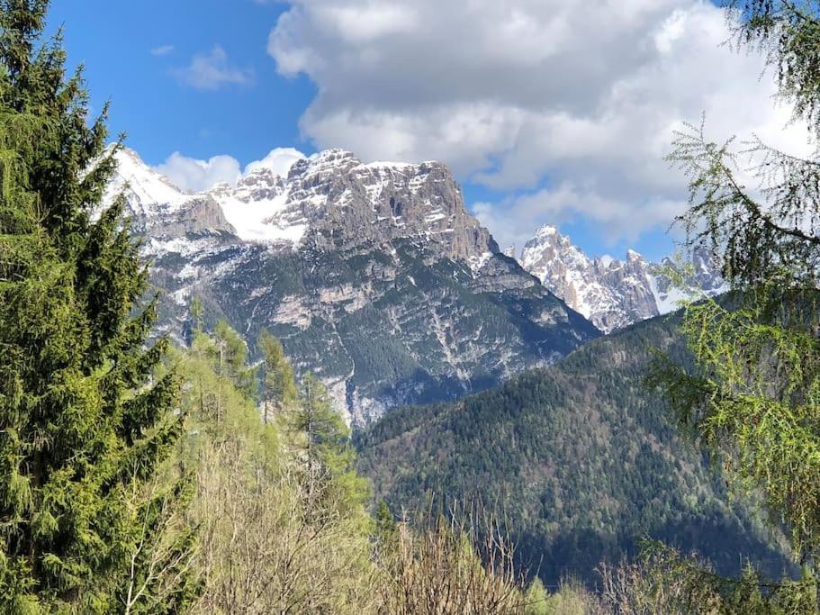 Appartamento Giada Pozzale Di Pieve Di Cadore Extérieur photo